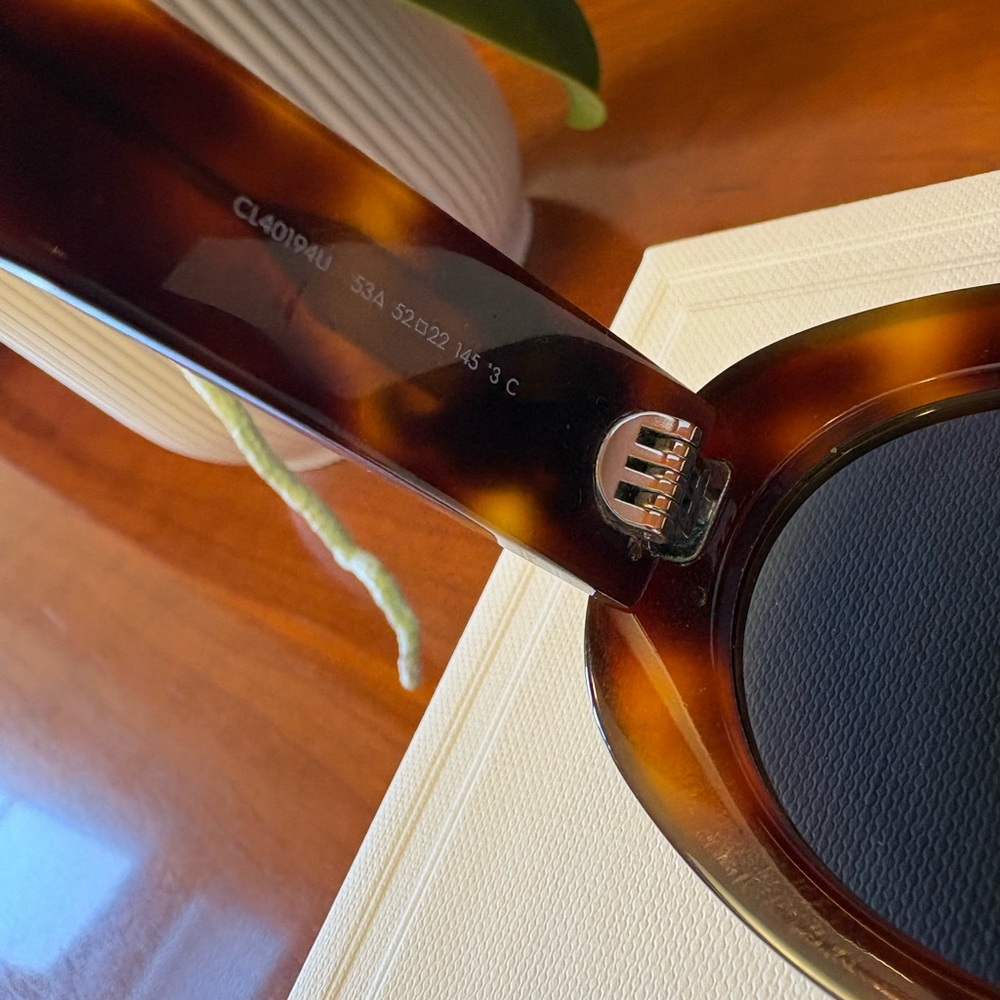 Celine Triomphe 01 Sunglasses in Acetate - Picture 6 of 15